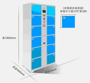 12门电子寄存柜